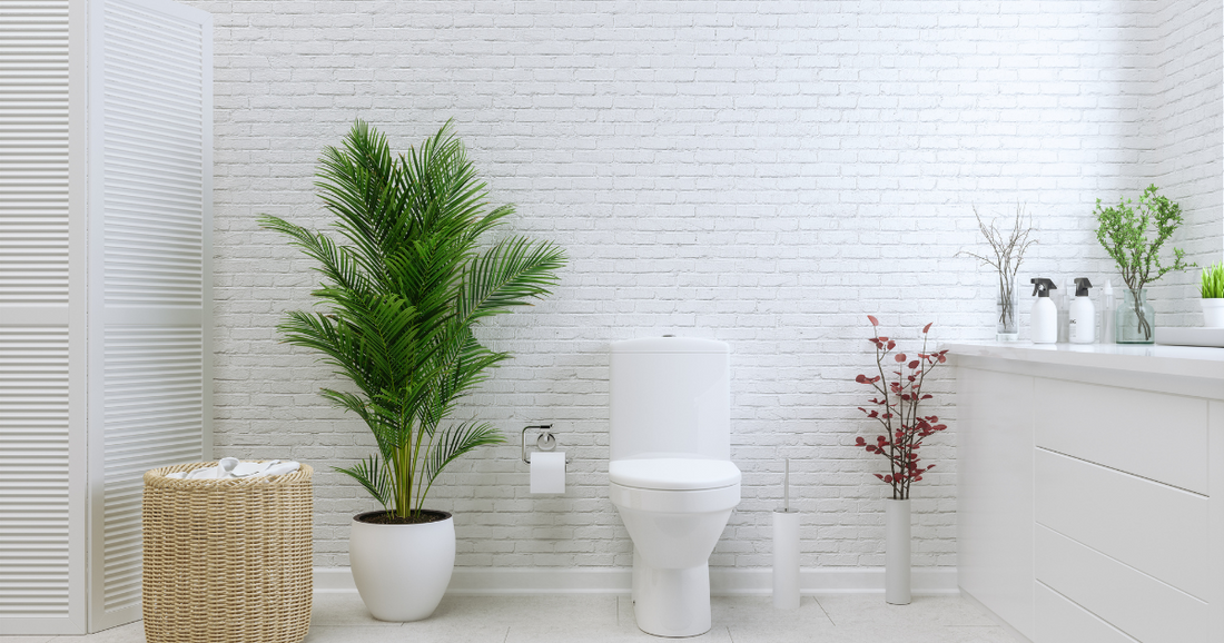 Best Sustainable Toiletries from eco-friendly brands In Europe