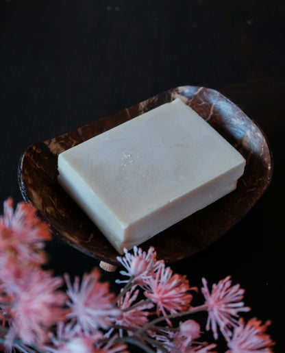 Coconut Shell Soap Container