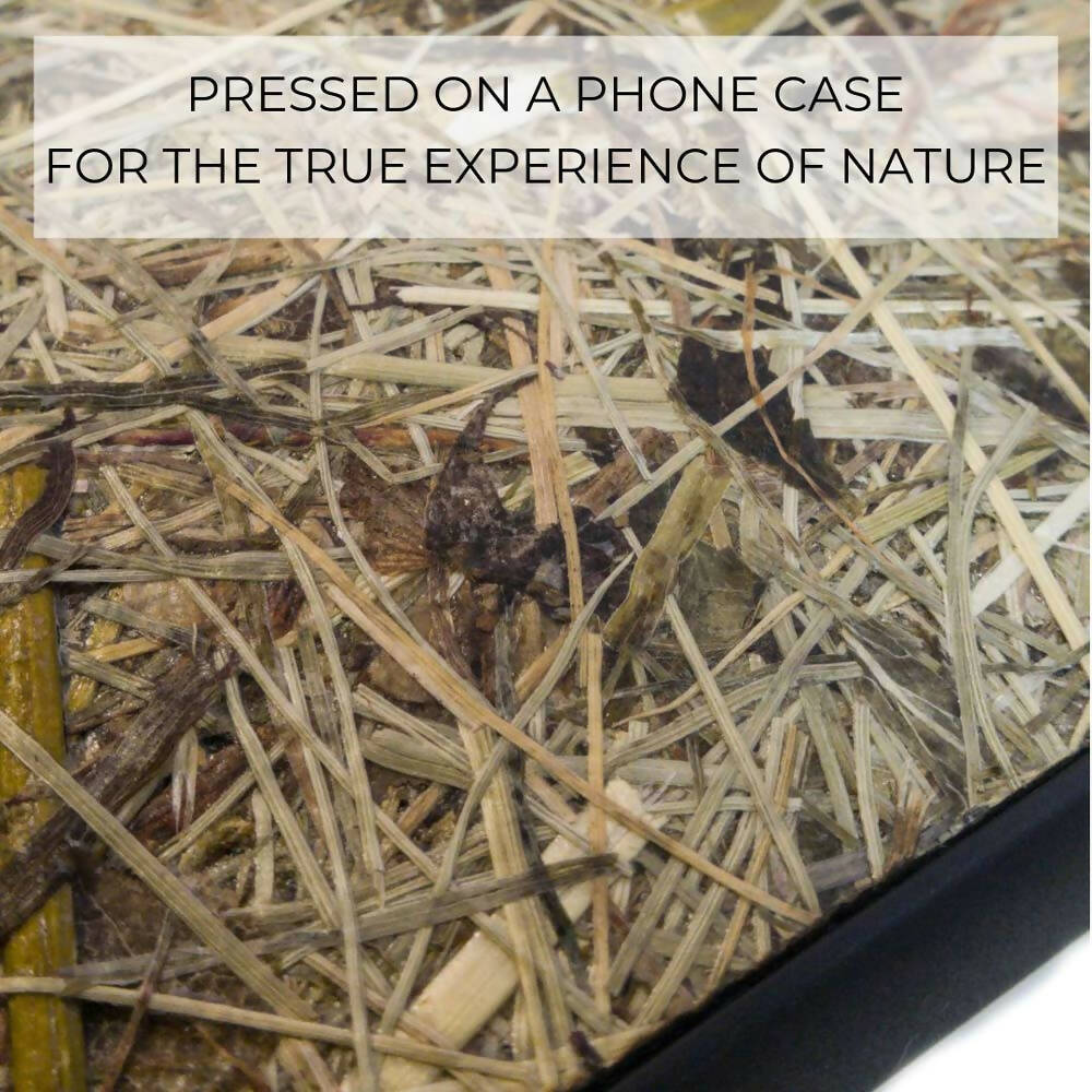 Organic Phone Case - Alpine Hay